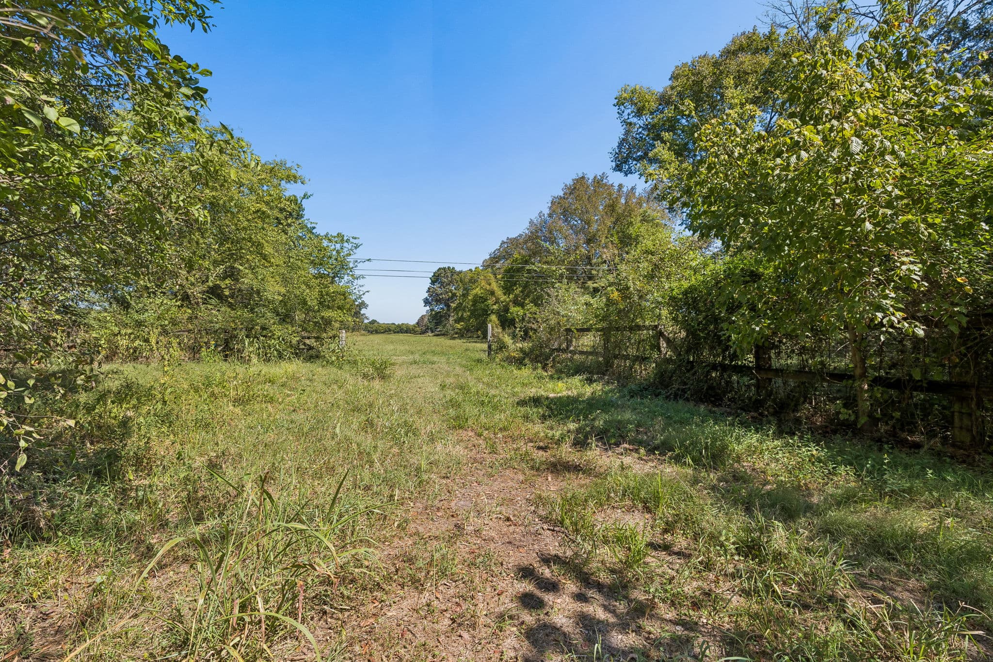 Tract 1, 16.96 acres of land for sale in College Grove, Tennessee, photo 4