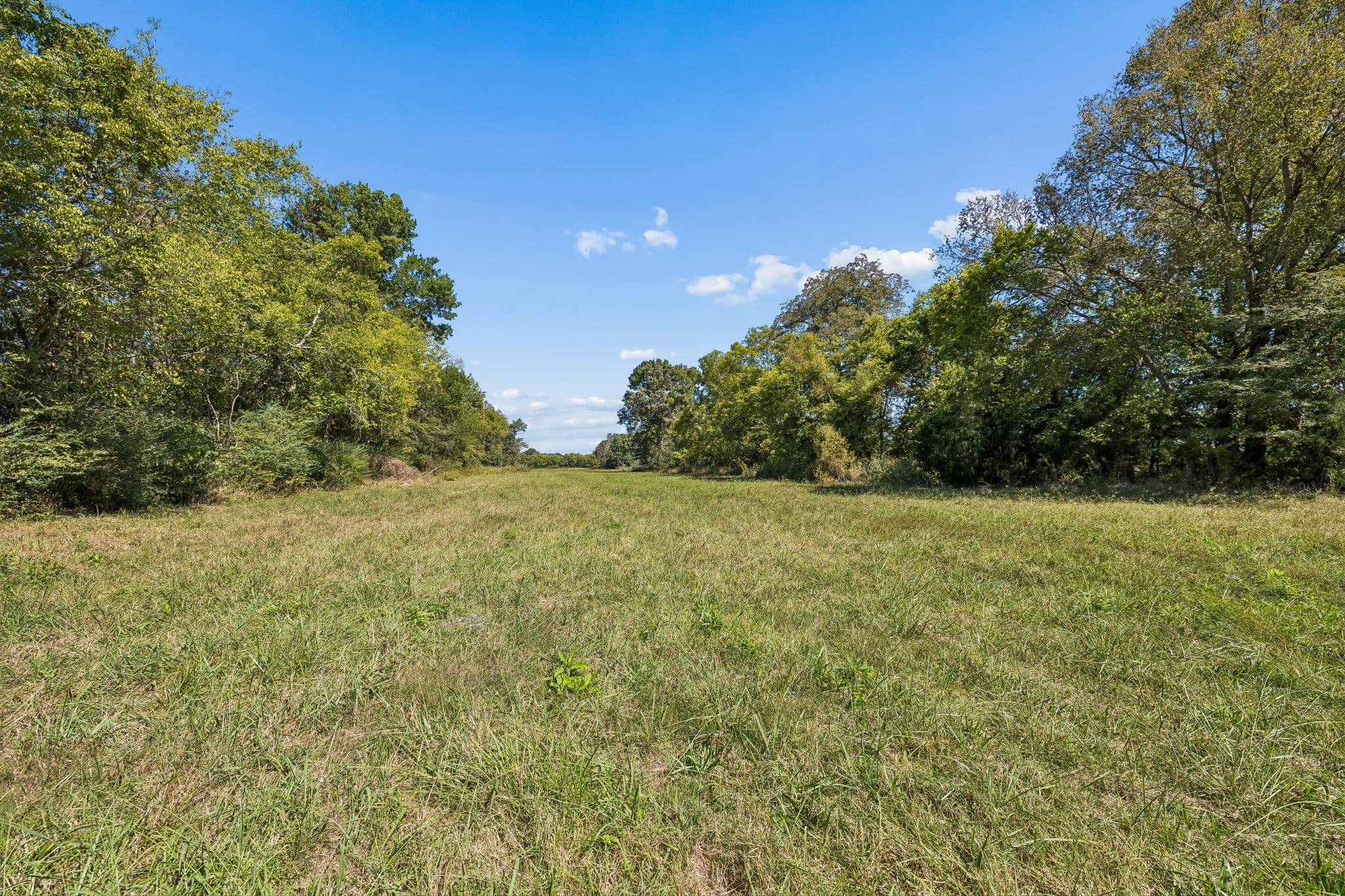 Tract 1, 16.96 acres of land for sale in College Grove, Tennessee, photo 5