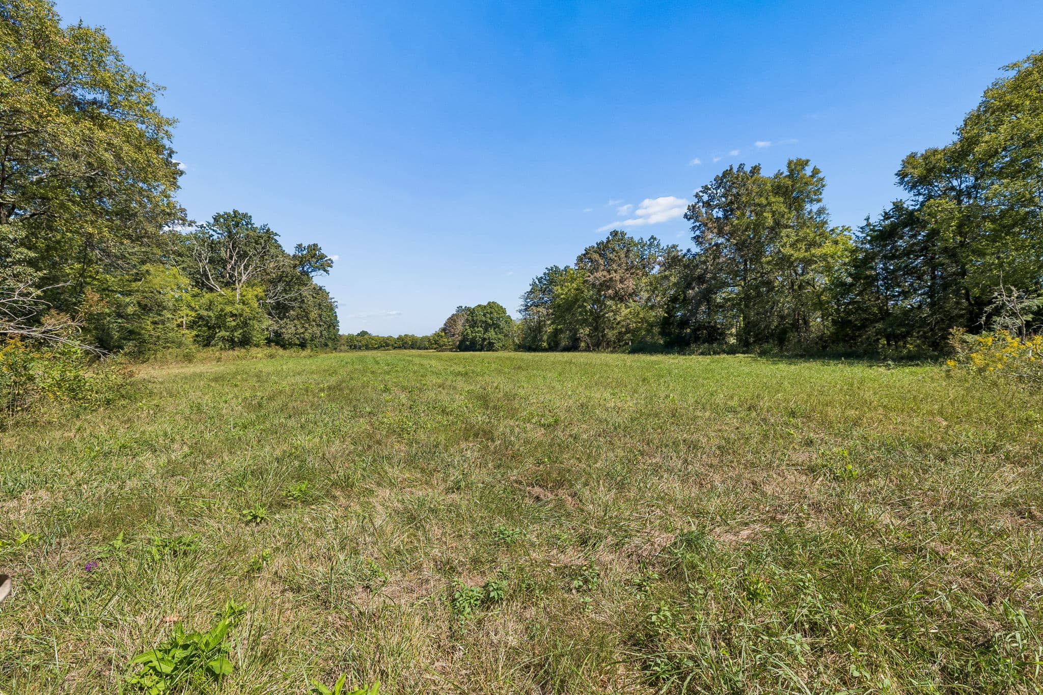 Tract 1, 16.96 acres of land for sale in College Grove, Tennessee, photo 6