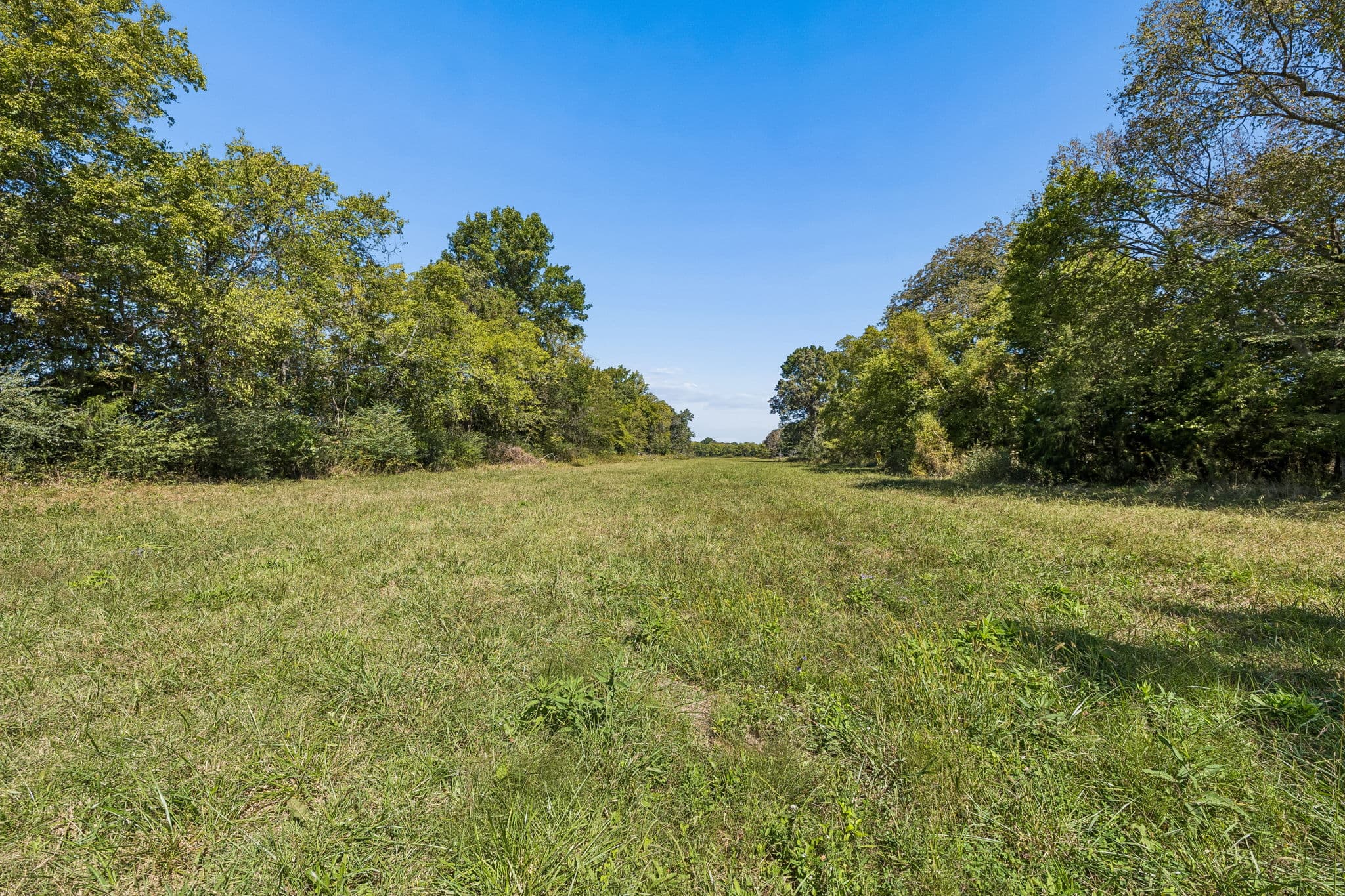 Tract 1, 16.96 acres of land for sale in College Grove, Tennessee, photo 7