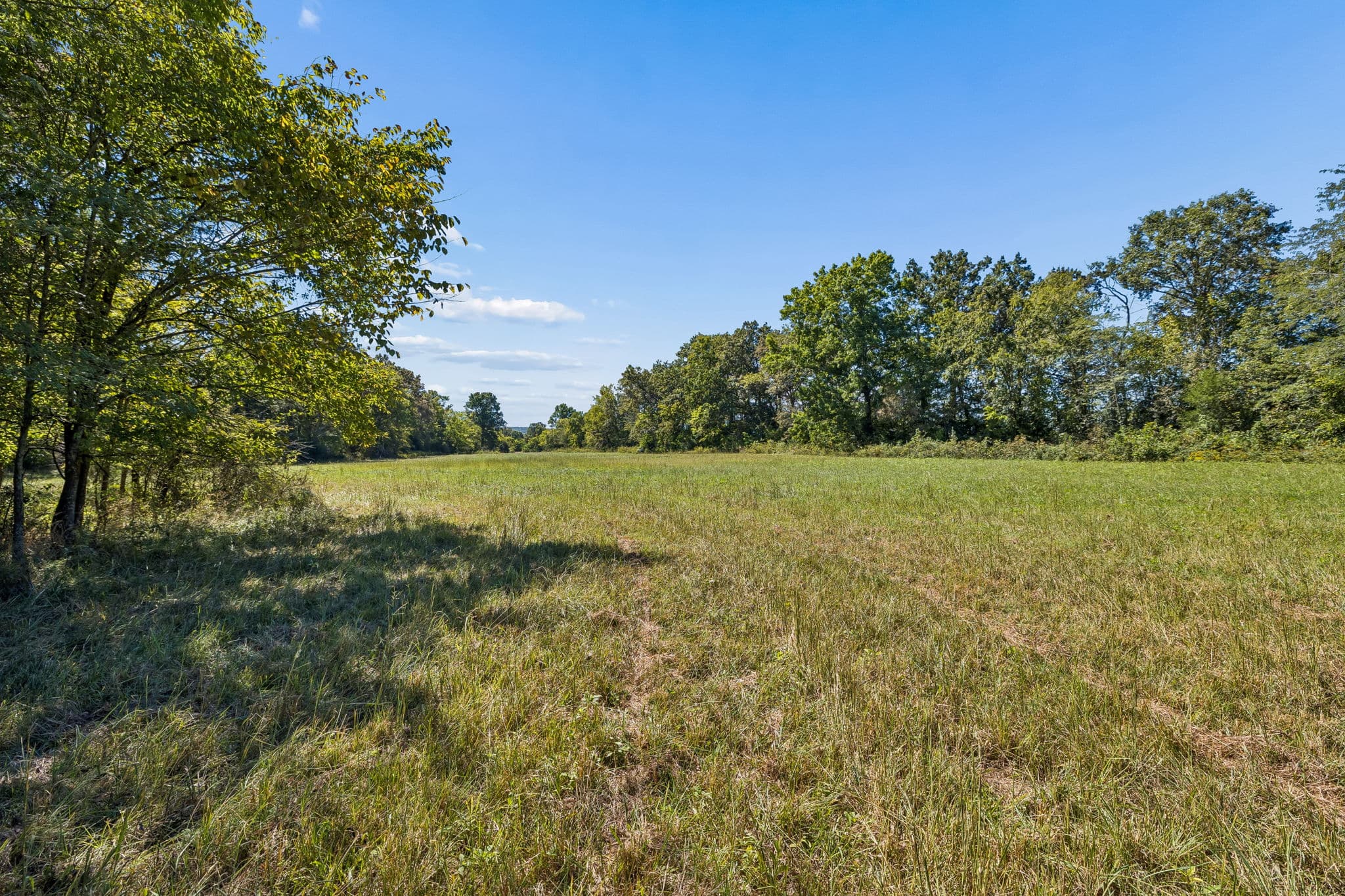 Tract 1, 16.96 acres of land for sale in College Grove, Tennessee, photo 8