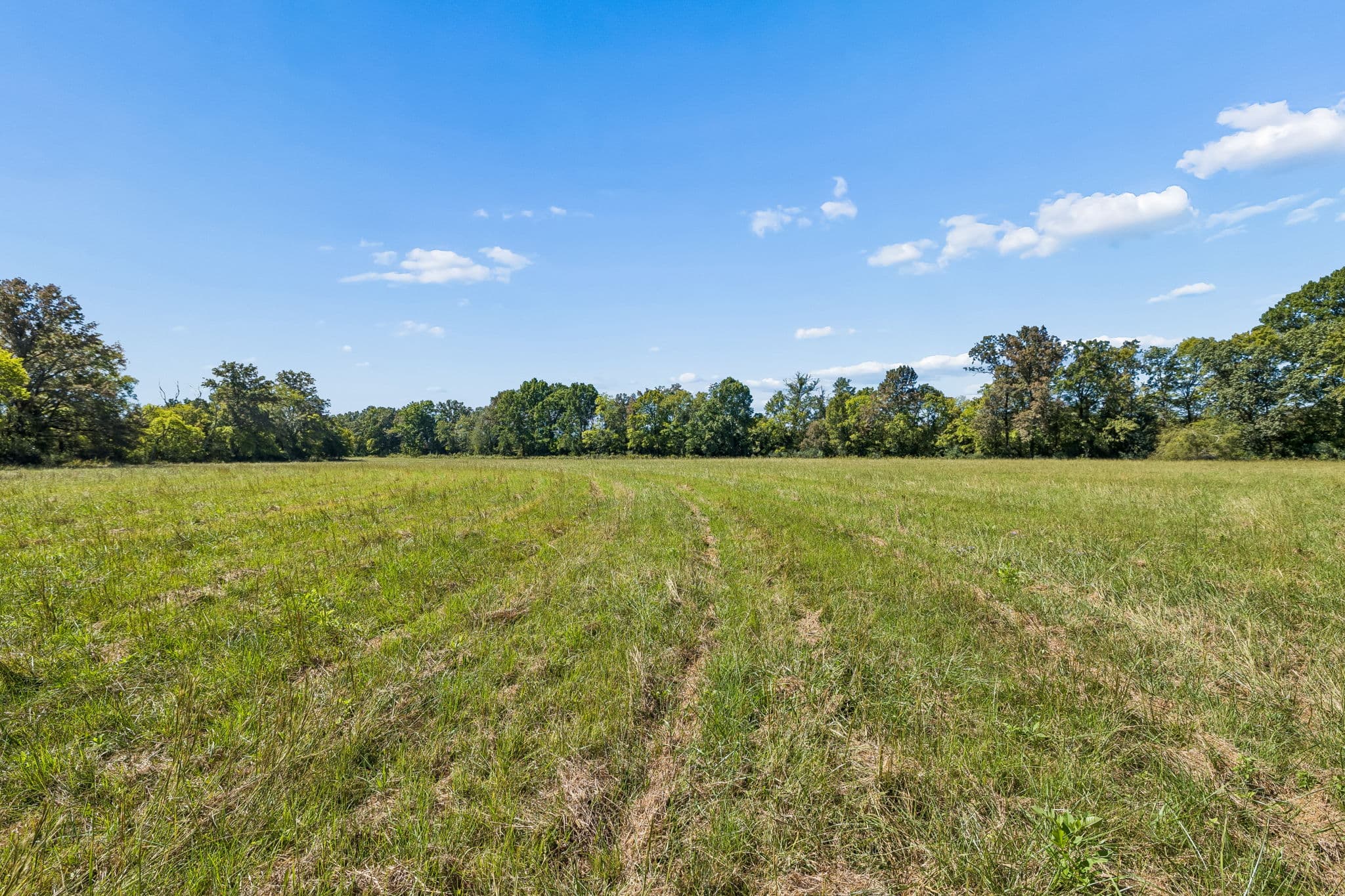 Tract 1, 16.96 acres of land for sale in College Grove, Tennessee, photo 9