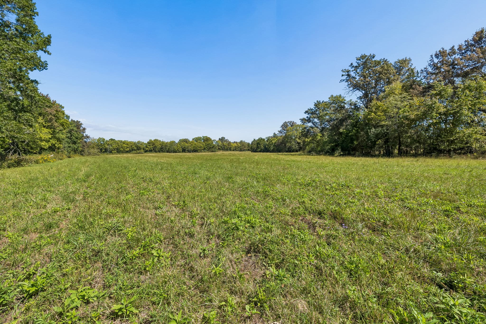 Tract 1, 16.96 acres of land for sale in College Grove, Tennessee, photo 10