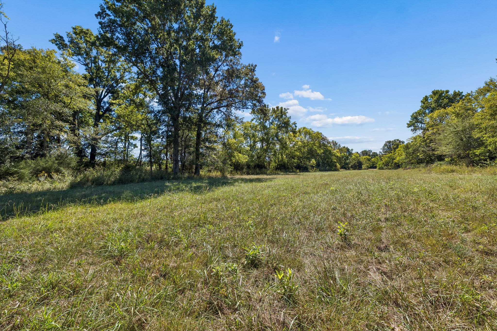 Tract 1, 16.96 acres of land for sale in College Grove, Tennessee, photo 11