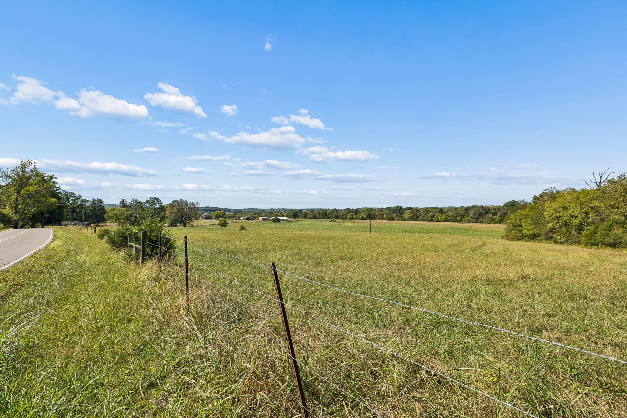Tract 2, 29.75 acres of land for sale in College Grove, Tennessee, photo 5