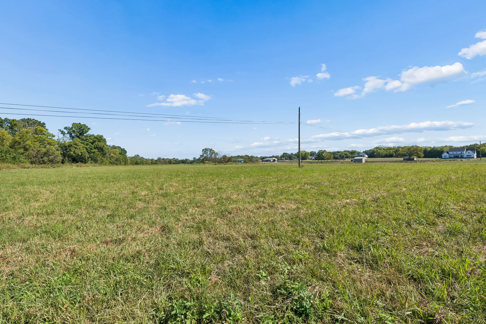 Tract 2, 29.75 acres of land for sale in College Grove, Tennessee, photo 7