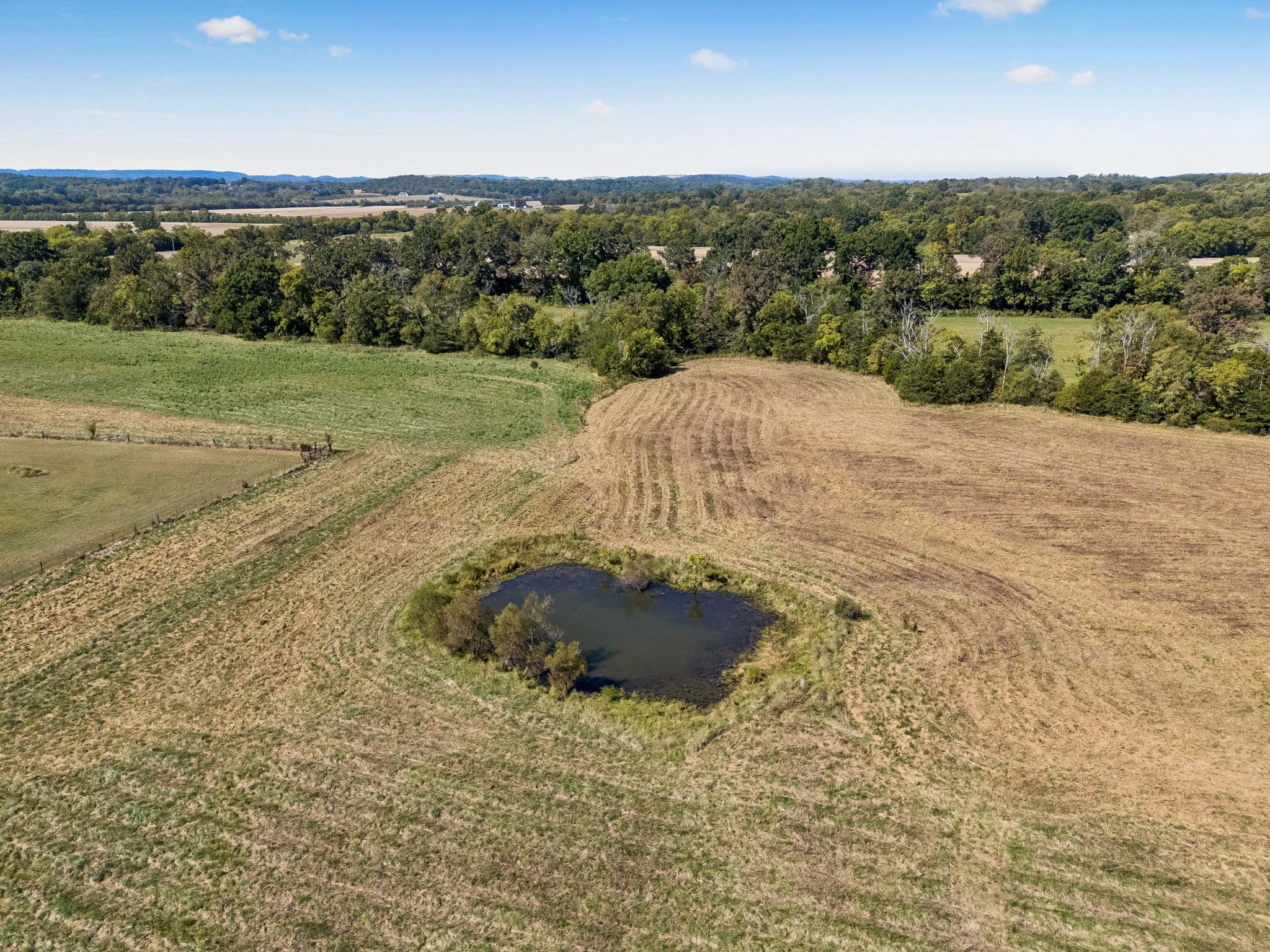 Tract 2, 29.75 acres of land for sale in College Grove, Tennessee, photo 16
