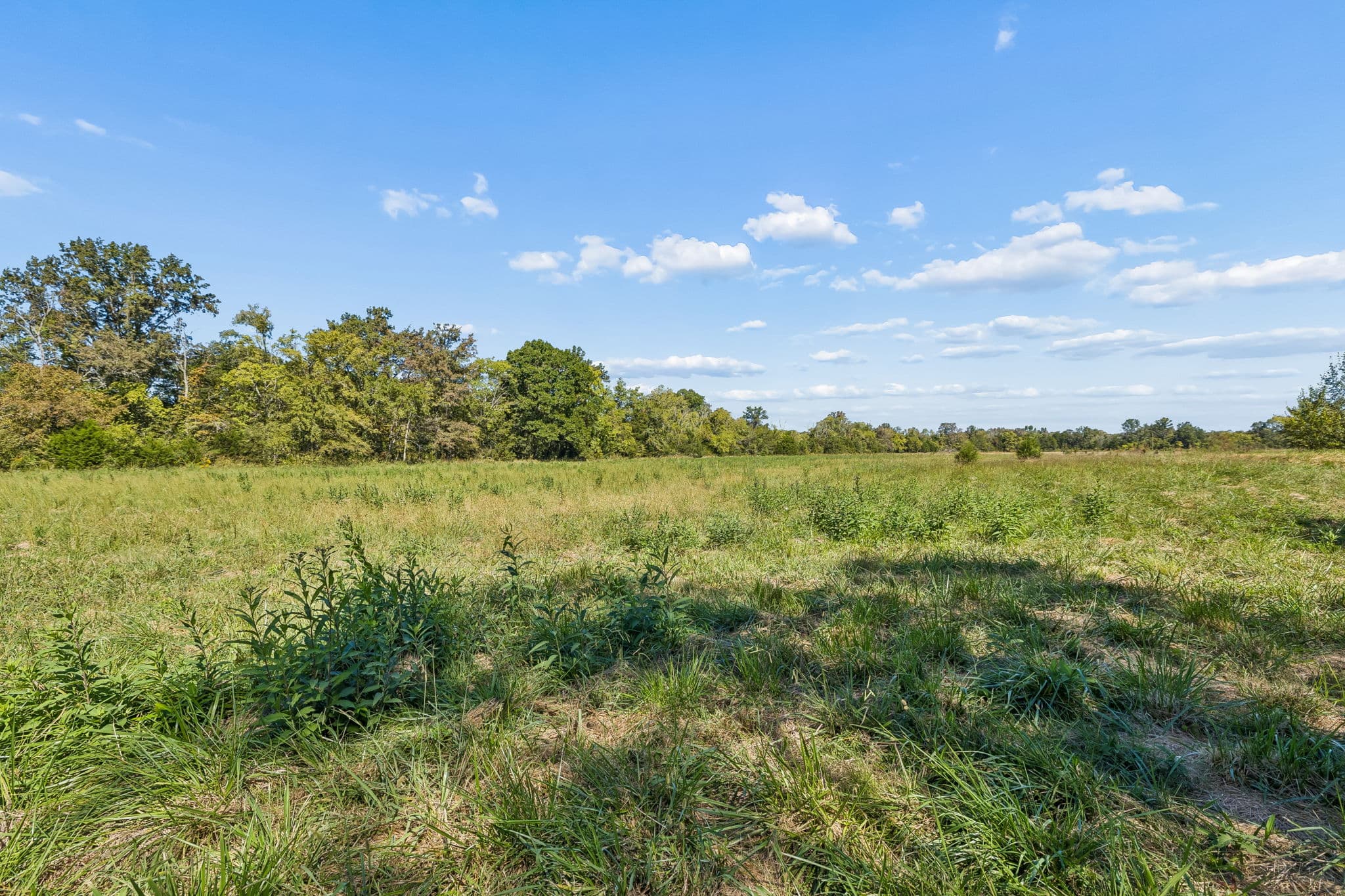 Tract 3, 18.81 acres of land for sale in College Grove, Tennessee, photo 5