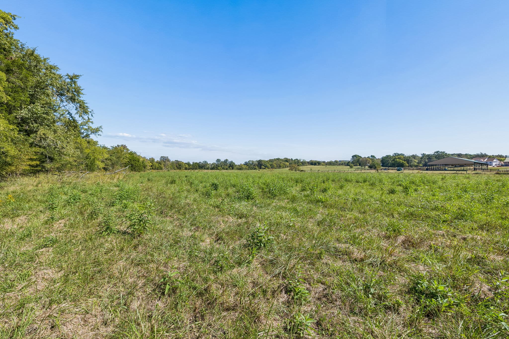 Tract 3, 18.81 acres of land for sale in College Grove, Tennessee, photo 6