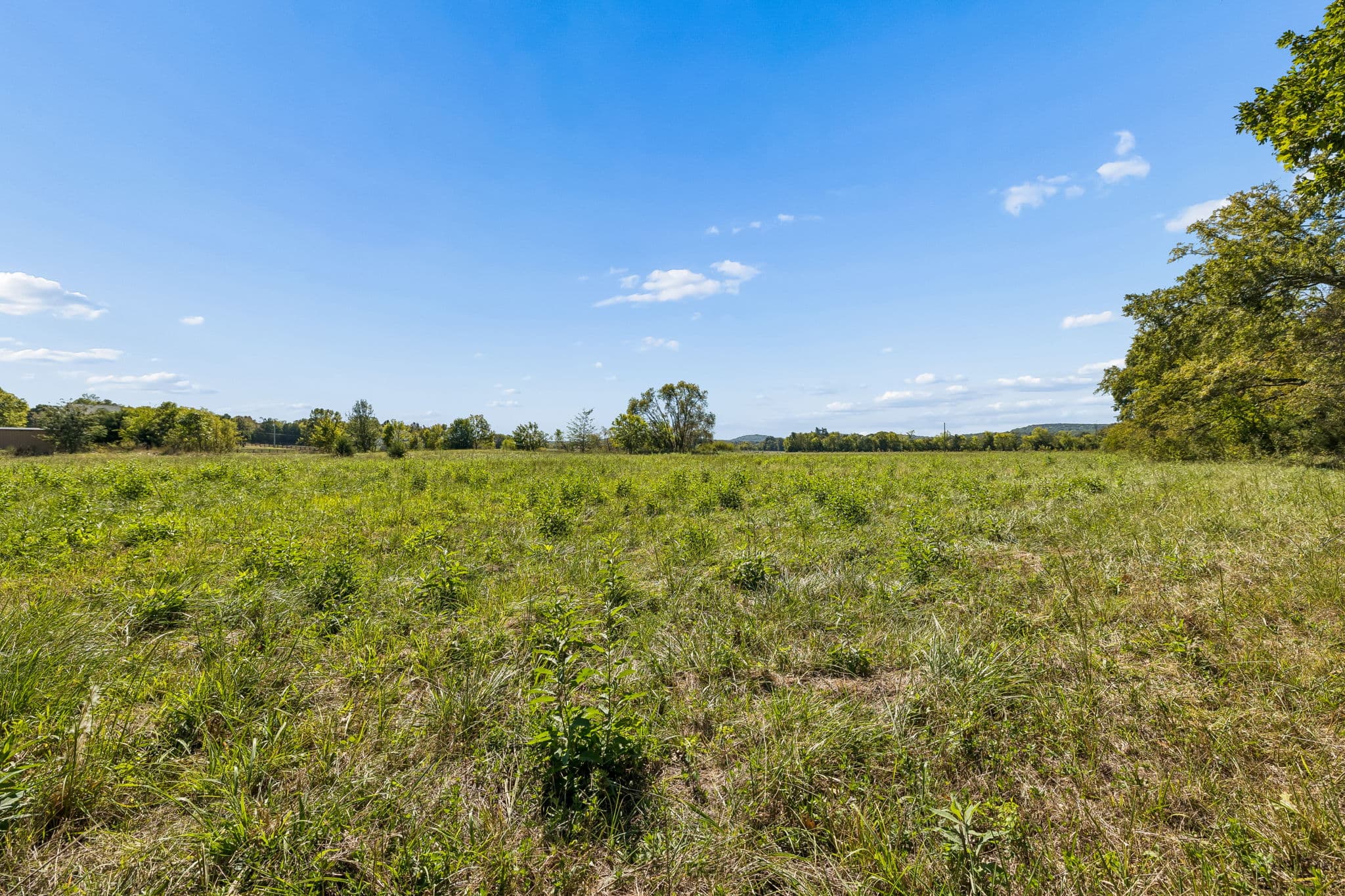 Tract 3, 18.81 acres of land for sale in College Grove, Tennessee, photo 8