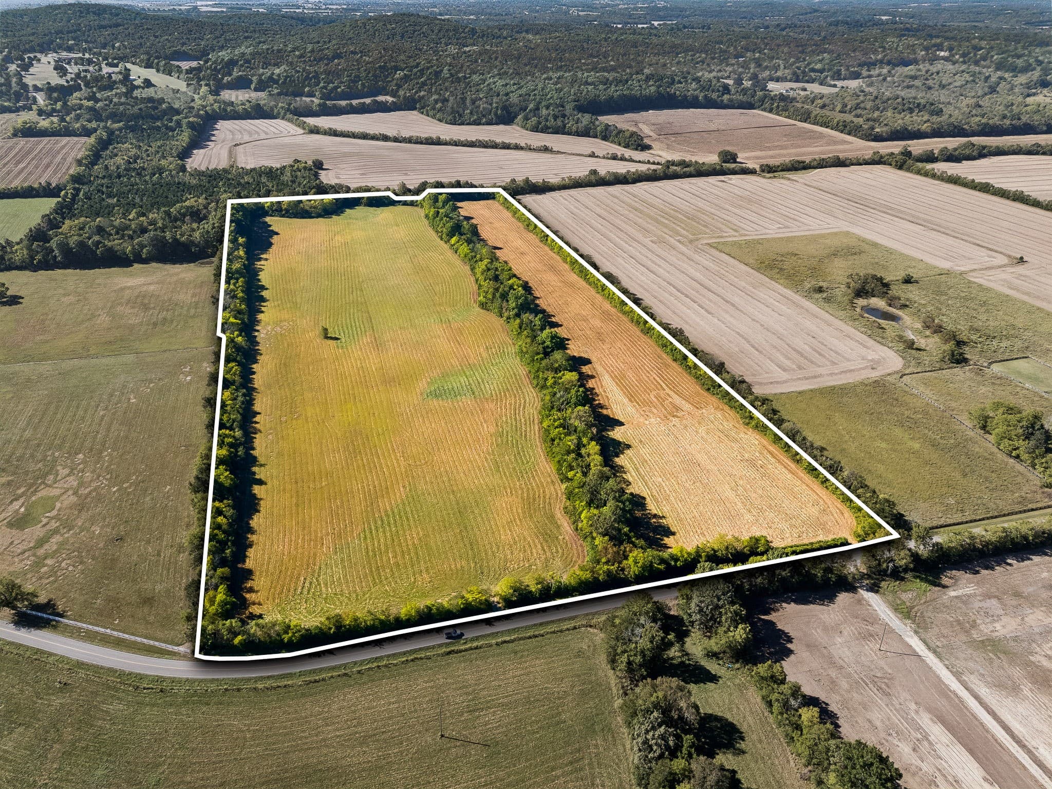 Tract 4, 43.59 acres of land for sale in College Grove, Tennessee, photo 1