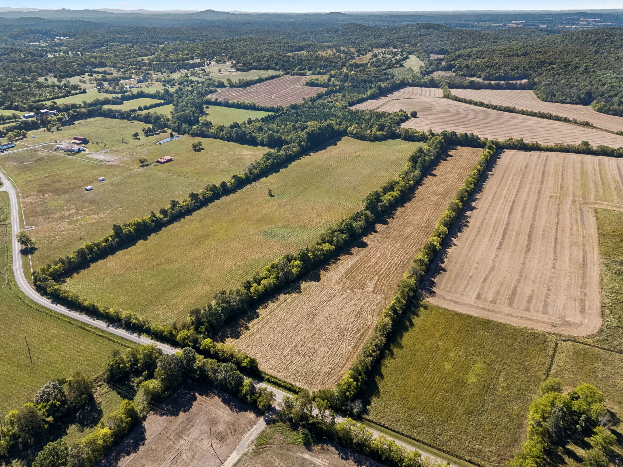 Tract 4, 43.59 acres of land for sale in College Grove, Tennessee, photo 2