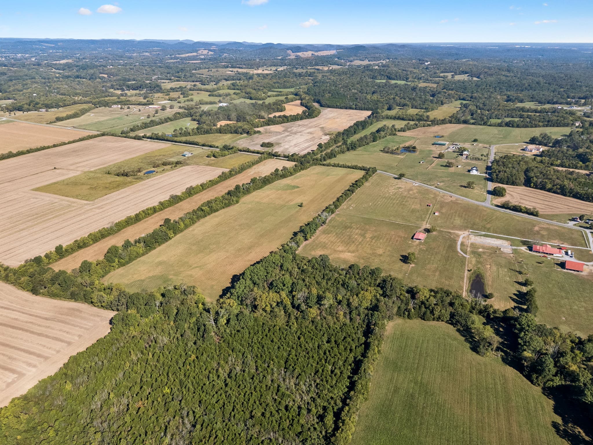 Tract 4, 43.59 acres of land for sale in College Grove, Tennessee, photo 4