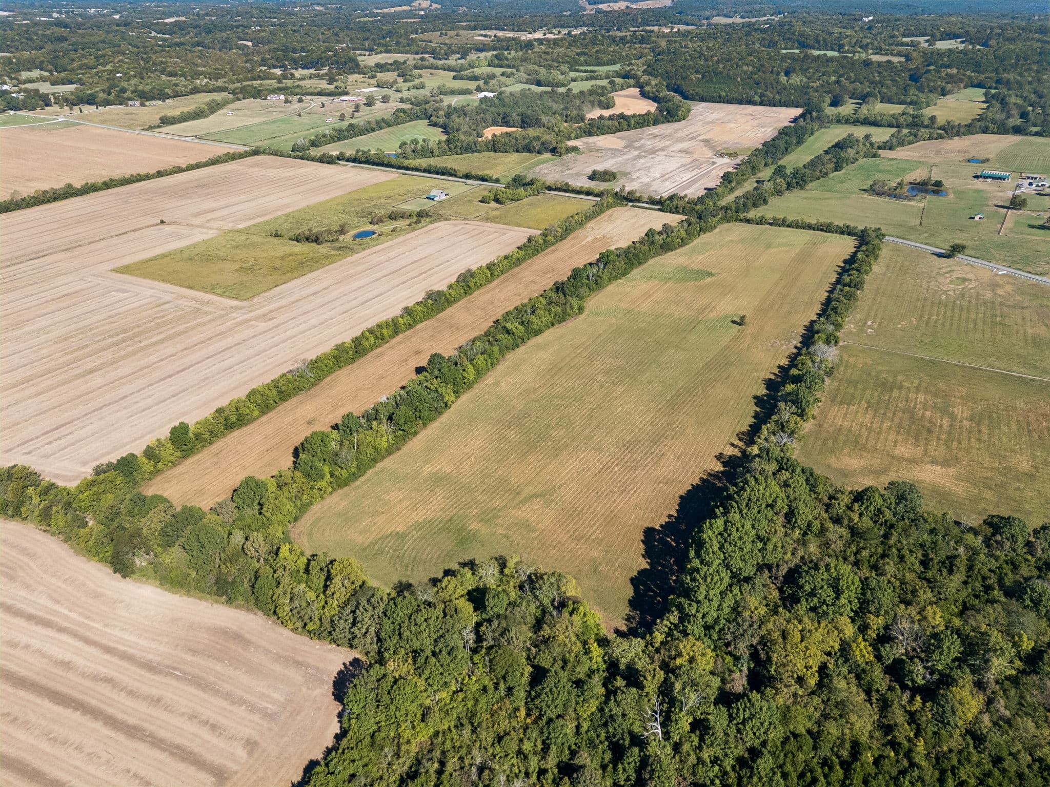 Tract 4, 43.59 acres of land for sale in College Grove, Tennessee, photo 5
