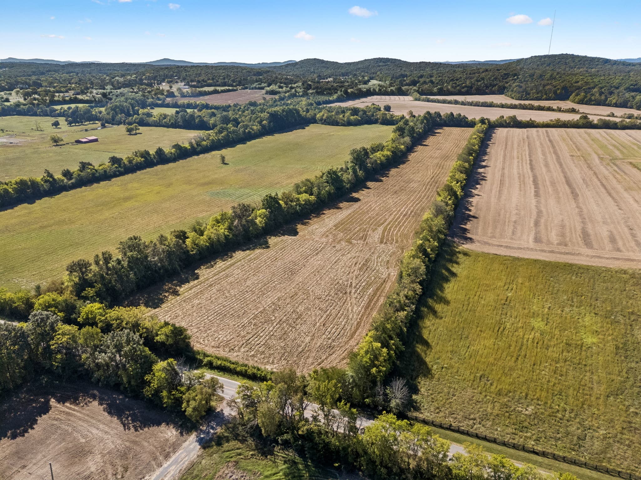 Tract 4, 43.59 acres of land for sale in College Grove, Tennessee, photo 6