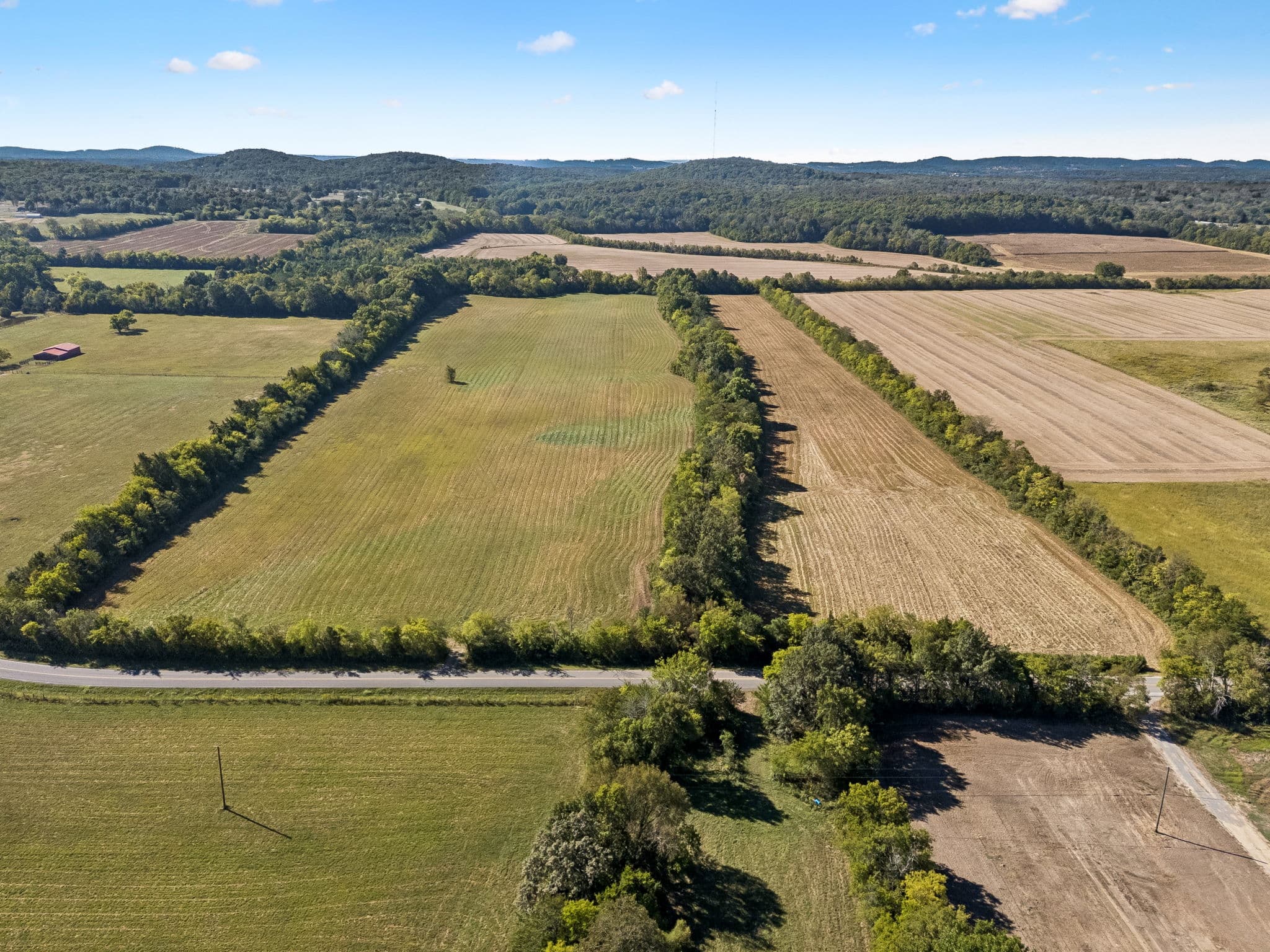 Tract 4, 43.59 acres of land for sale in College Grove, Tennessee, photo 7
