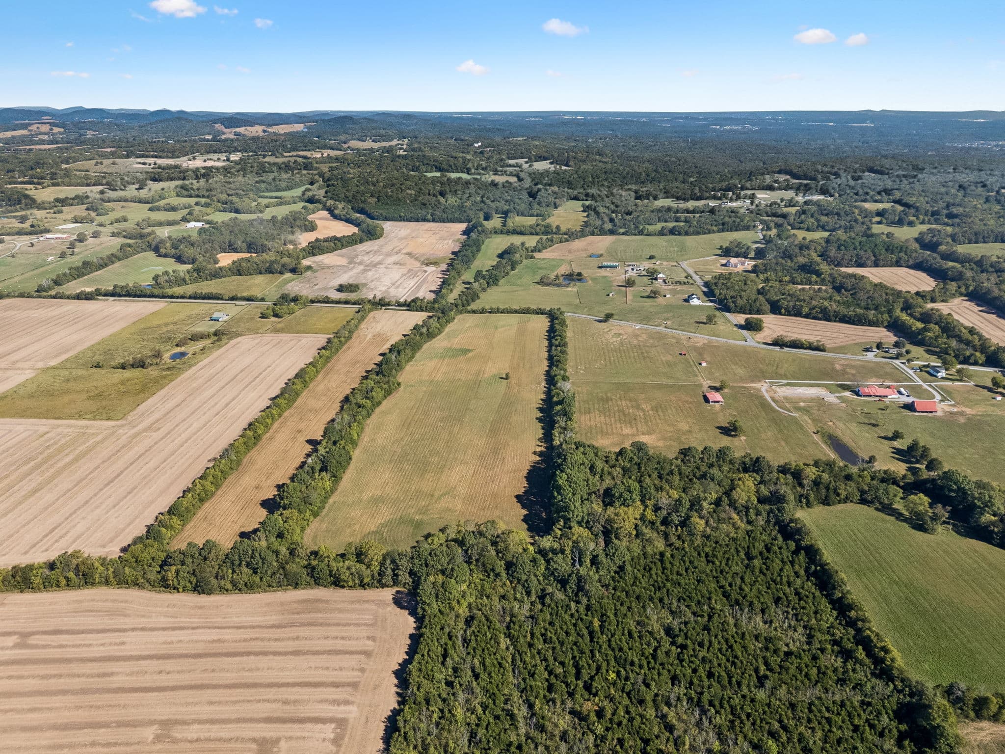 Tract 4, 43.59 acres of land for sale in College Grove, Tennessee, photo 8