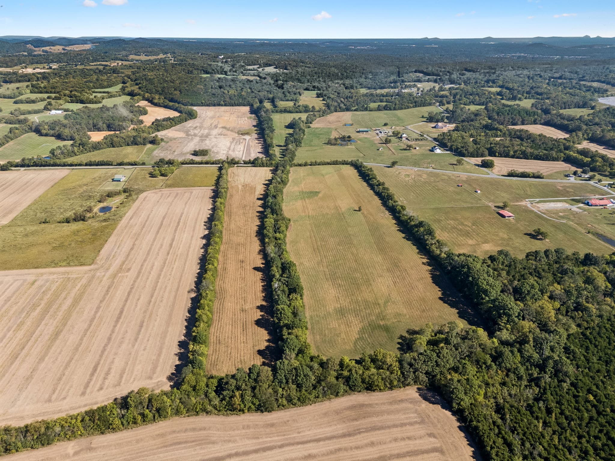 Tract 4, 43.59 acres of land for sale in College Grove, Tennessee, photo 9