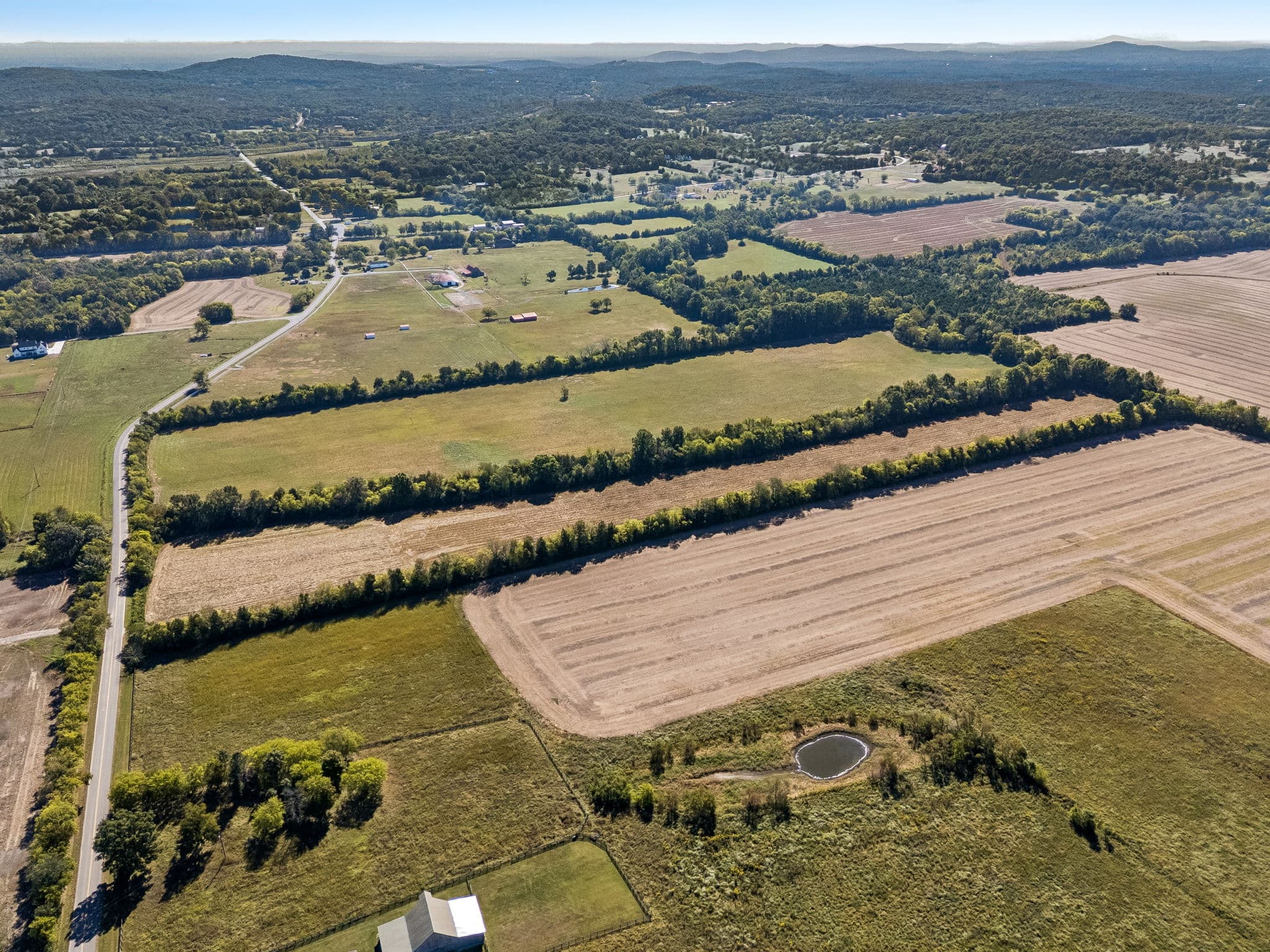 Tract 4, 43.59 acres of land for sale in College Grove, Tennessee, photo 10