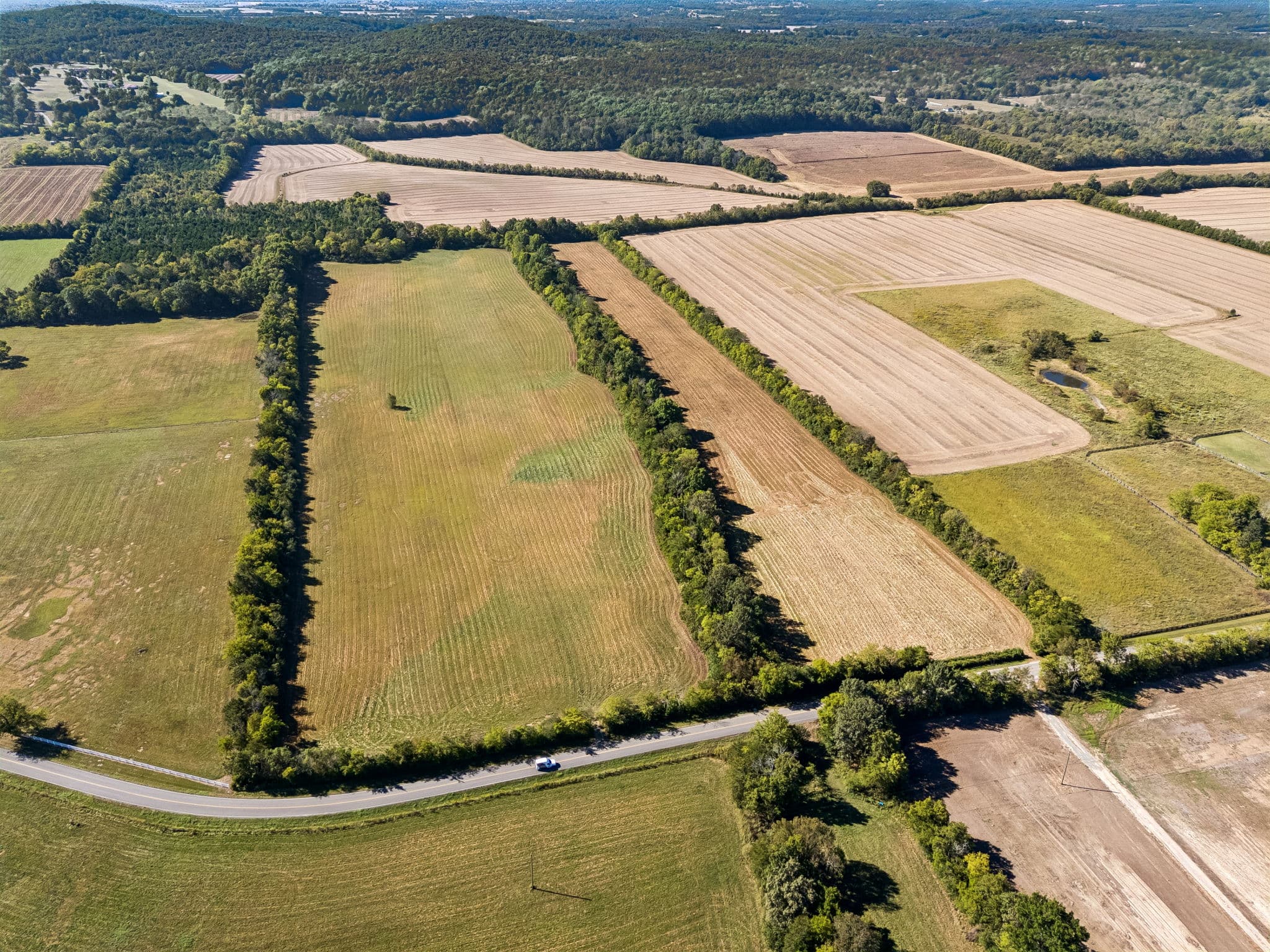 Tract 4, 43.59 acres of land for sale in College Grove, Tennessee, photo 11
