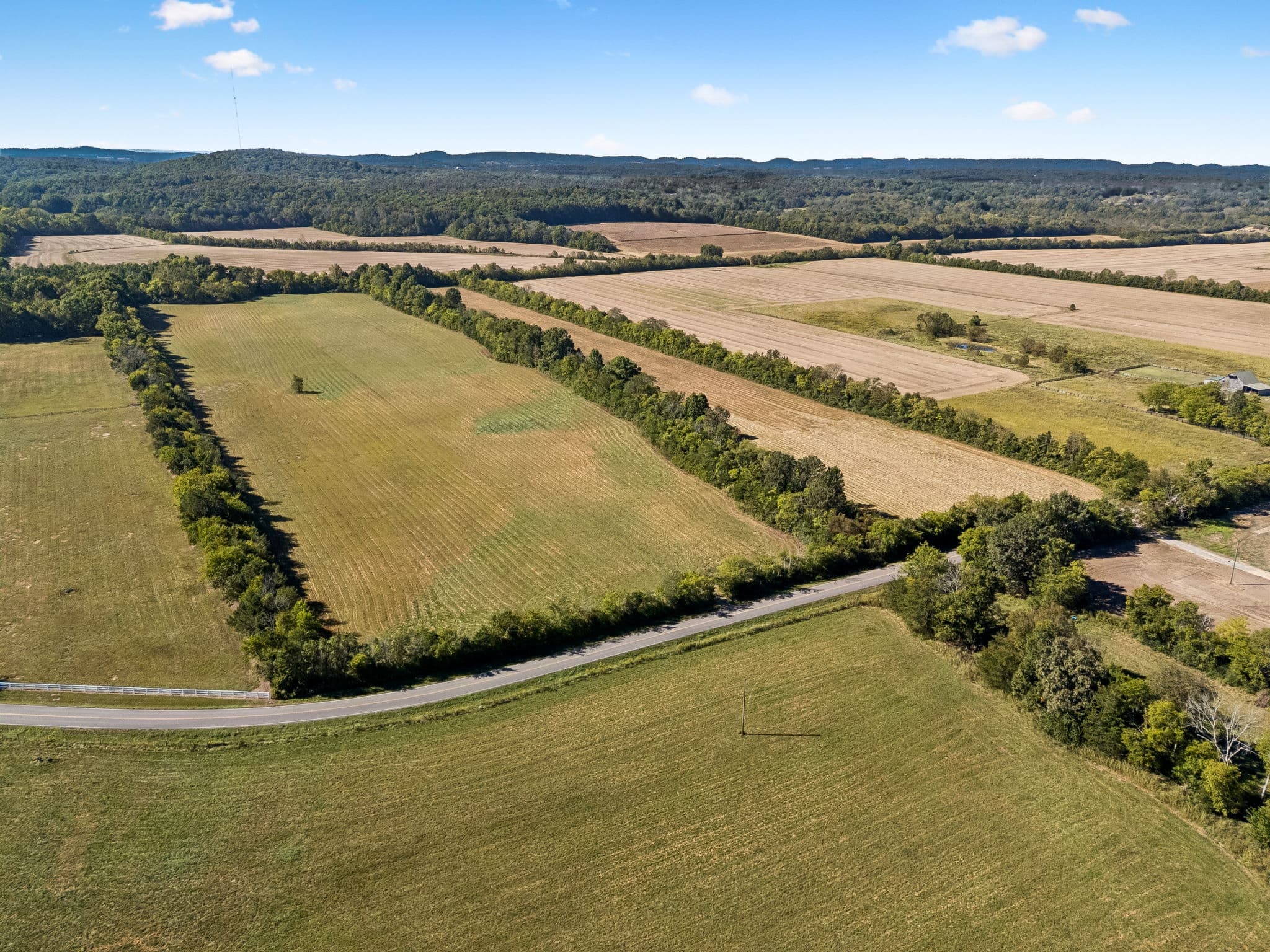 Tract 4, 43.59 acres of land for sale in College Grove, Tennessee, photo 12